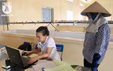 Có một nguồn cung rau an toàn dồi dào cho nội thành Hà Nội